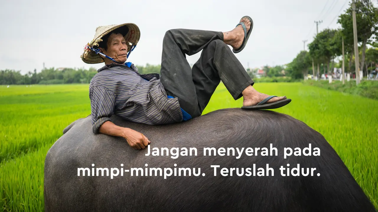 Kumpulan Gambar-Gambar Lucu dan Aneh yang Bikin Ngakak - Hot Liputan6.com