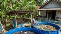13 Usaha Ternak untuk Usia 20 Tahun ke Atas, Sukses di Masa Produktif
