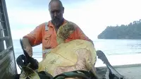 Aksi pengembalian penyu ke laut tersebut dilakukan oleh pria asal Selandia Baru bernama Arron Culling. 