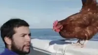 VIDEO: Pria Ini Berlayar Keliling Dunia dengan Ayam Peliharaannya