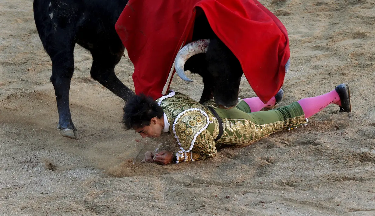 Seorang matador terlihat terjatuh saat aksi melawan banteng di Festival San Fermin, Pamplona, Spanyol, Rabu (8/7/2015). Aksi pertarungan antara Matador dengan banteng menjadi salah satu aksi yang ditunggu di Festival ini. (Reuters/Vincent West)