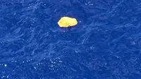 Sebuah benda diduga milik pesawat Egypt Air mengapung di Perairan Karpathos, Yunani. Tim SAR Mesir dan Yunani tengah menyelidikinya.