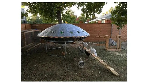 7 Potret Kandang Ayam ini Punya Desain Unik Hingga Mewah, Kreatif Banget