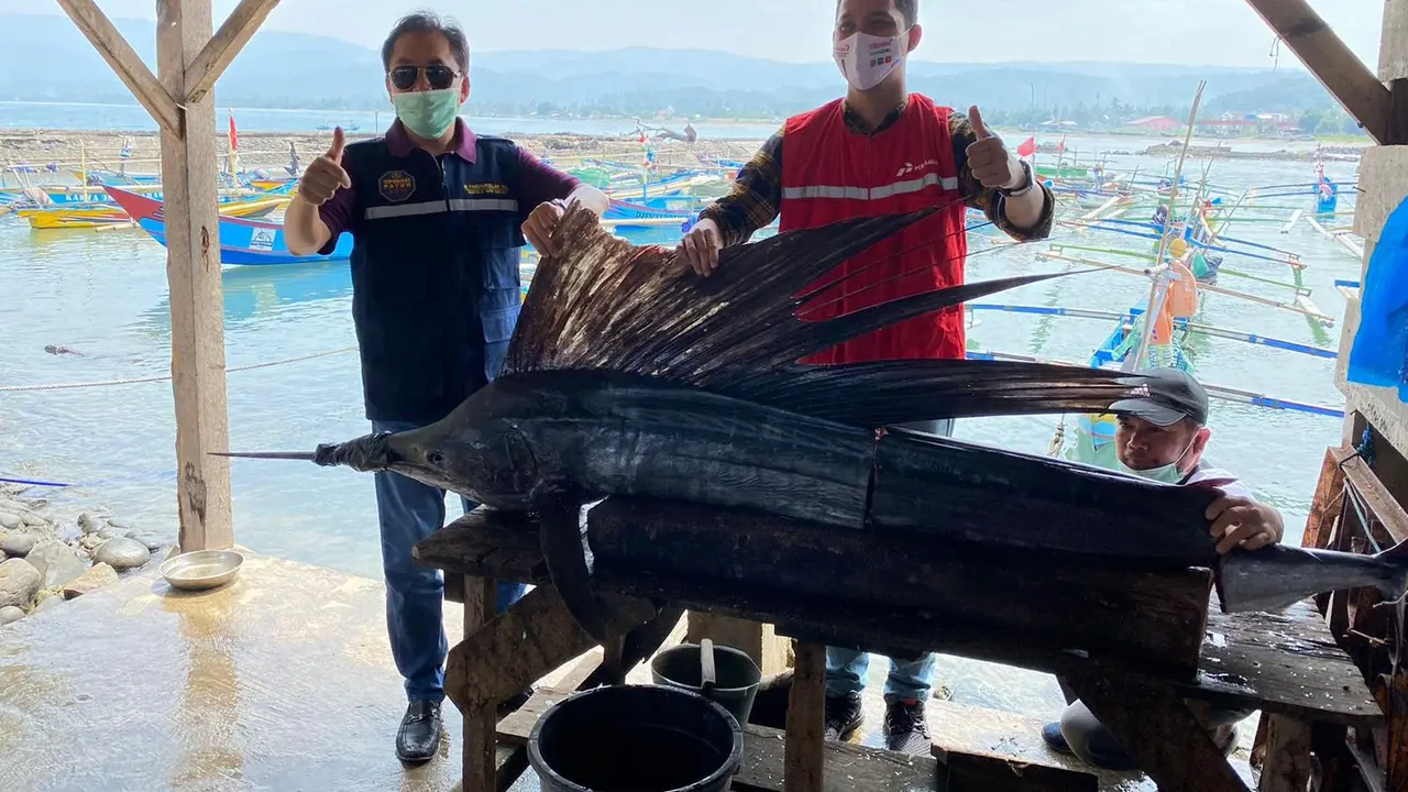 Kepala BPH Migas M. Fanshurullah Asa memastikan ketersediaan dan pendistribusian BBM di sentra nelayan pelabuhan Krui, Lampung (19/09/2020). (Dok BPH Migas)