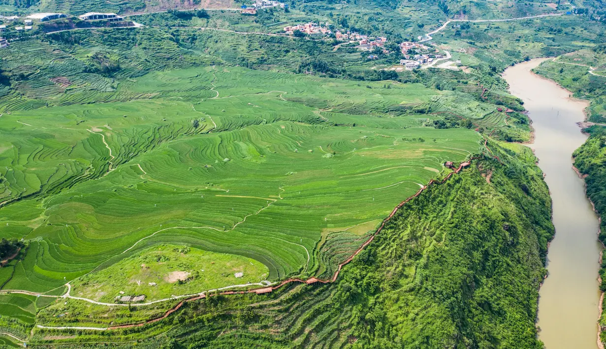 Foto dari udara yang diabadikan pada 29 Juni 2020 ini menunjukkan pemandangan sawah terasering di Xinmin, Kota Panzhou, Provinsi Guizhou, China barat daya. (Xinhua/Tao Liang)
