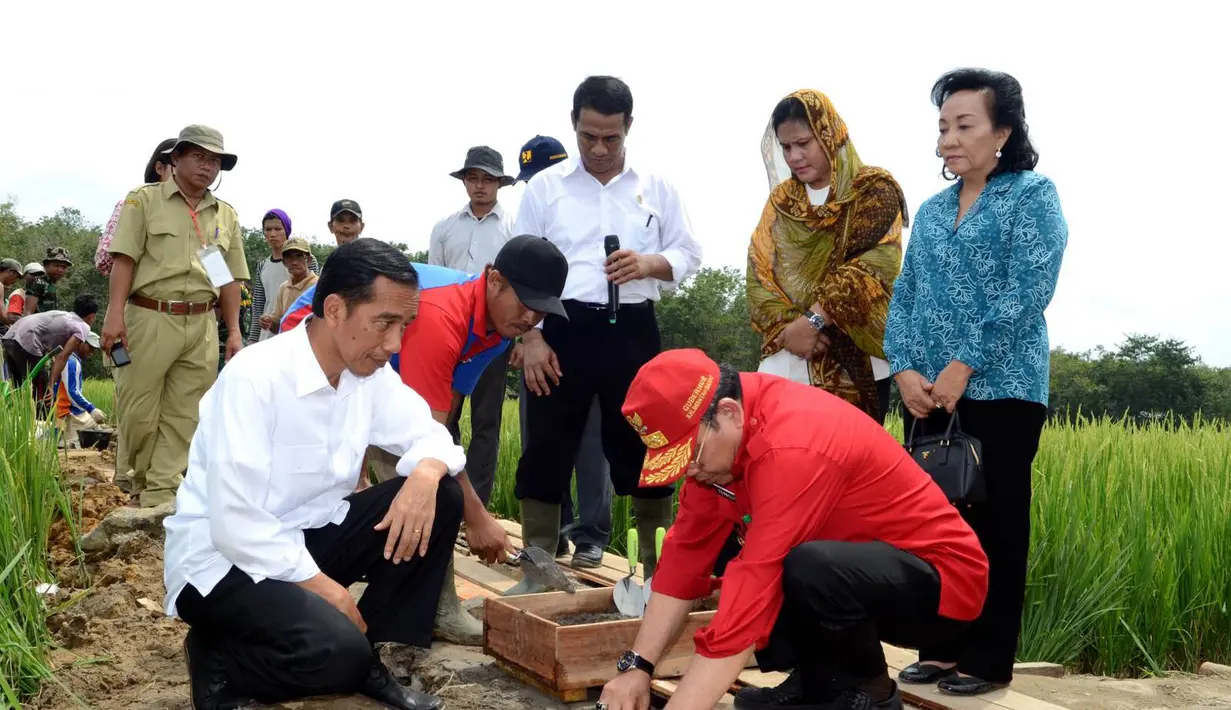 Gubernur Kalimantan Barat, Drs. Cornelis, M.H (kanan) bersama dengan Presiden Jokowi meletakkan batu pertama pembangunan saluran irigasi tersier di Bendungan Irigasi Tersier, Kalbar, Selasa (20/1/2015). (Rumgapres/Agus Suparto)
