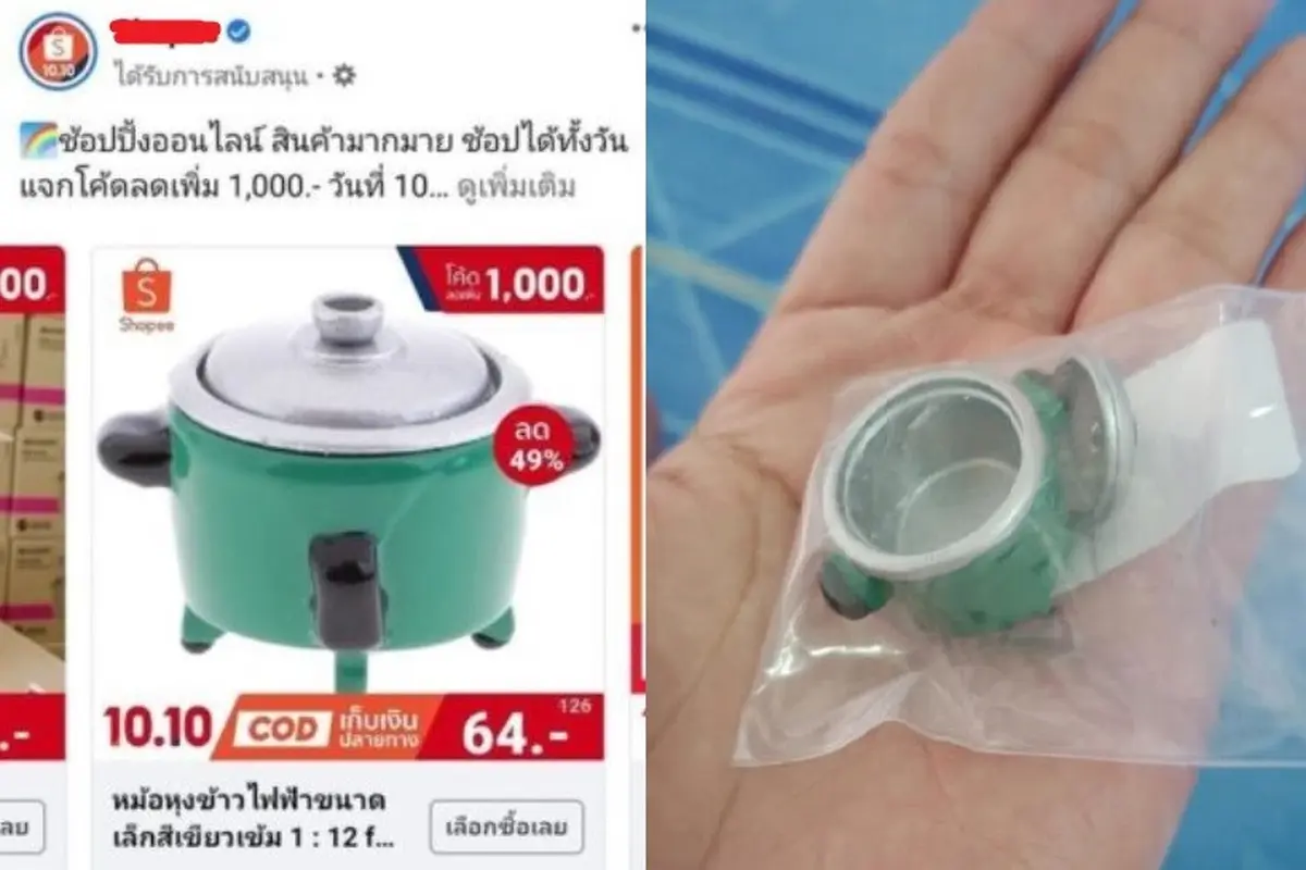 rice cooker mini