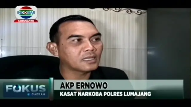 VIDEO: Polisi Ringkus Pengedar Narkoba di Lumajang