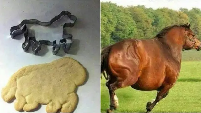 Sudah Pakai Cetakan, 6 Ekspektasi Vs Realita Hasil Bikin Roti Ini Tetap Gagal