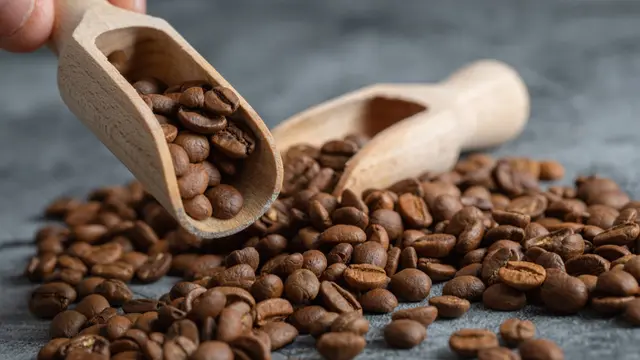 Biji Kopi