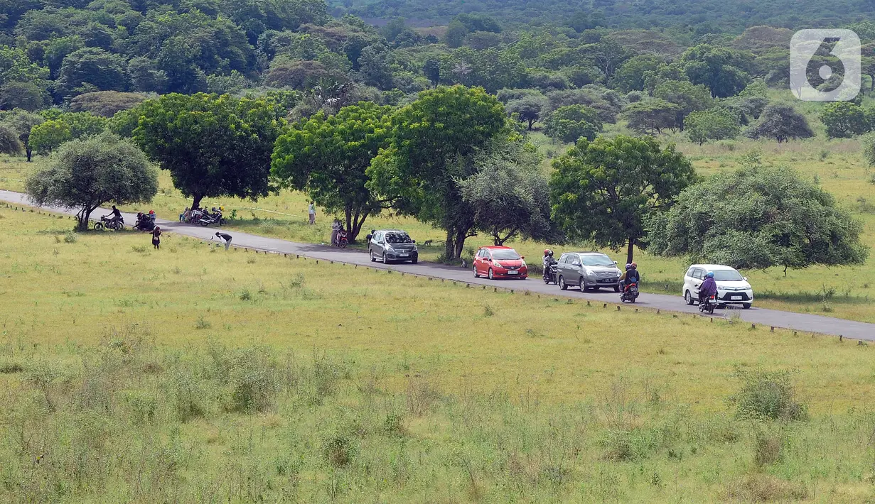 Seminggu Setelah Lebaran Idul Fitri, Taman Nasional Baluran Masih Ramai