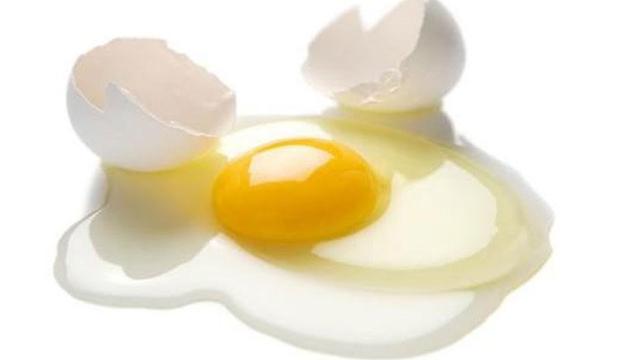 Putih telur mempunyai fungsi sebagai