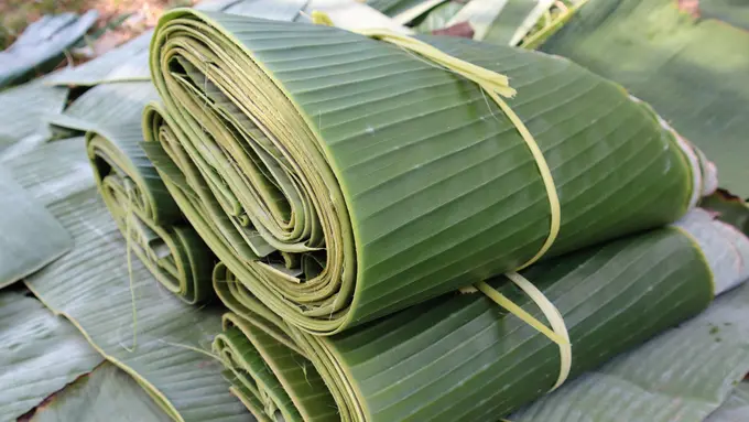 daun pisang ikat tips menyimpan