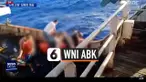 THUMBNAIL ABK