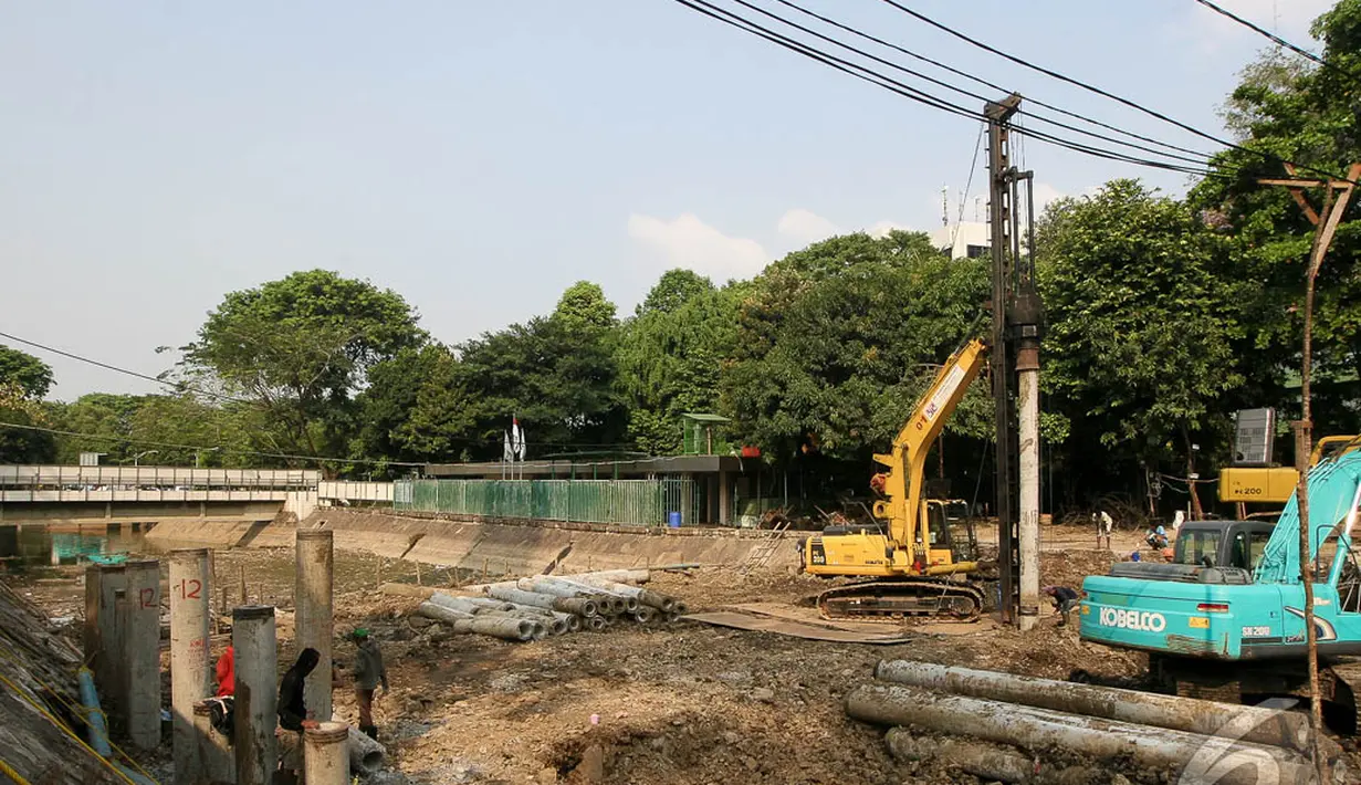 Kali Ciliwung juga direncanakan menjadi pusat edukasi lingkungan sehingga memberikan contoh fungsi ekologi sungai untuk peningkatan kualitas air, Jakarta, Jumat (3/10/2014) (Liputan6.com/Faizal Fanani)
