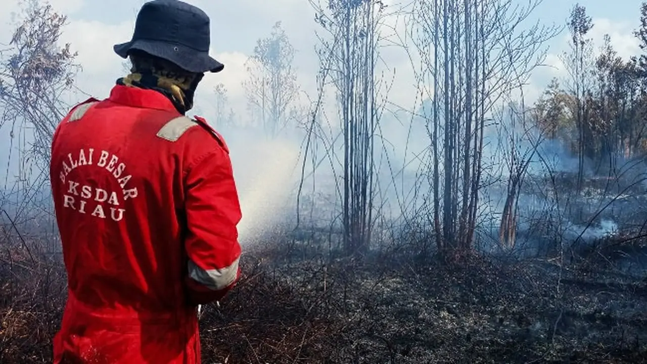 Proses pemadaman kebakaran Cagar Biosfer Giam Siak Kecil oleh personel BBKSDA Riau.