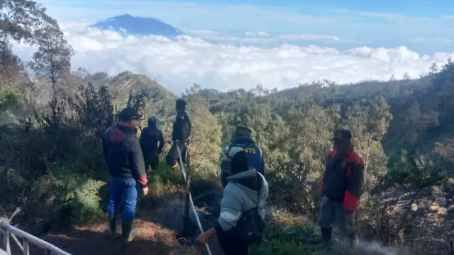Kebakaran di Bromo  Sebabkan 1 Hektar Lahan Hutan di Bukit Kedaluh Hangus