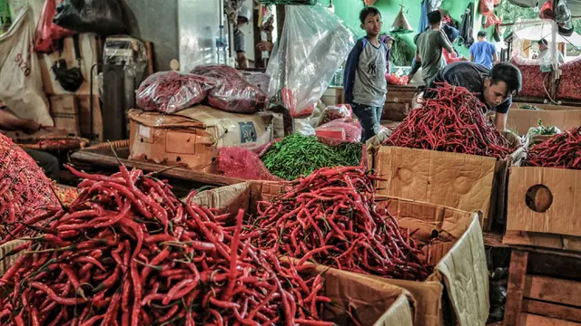 Harga Cabai Perlahan Turun