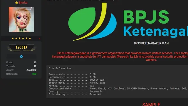Bjorka membagikan data-data yang ia klaim berasal dari BPJS Ketenagakerjaan (Tangkapan layar situs Breached.vc)