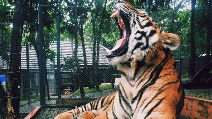 Ilustrasi | Foto: copyright pexels.com