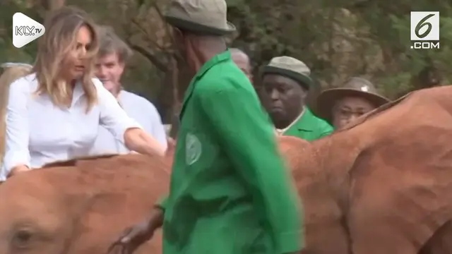 Melania Trump alami kejadian tak menyenangkan saat berkunjung ke Taman Nasional Nairobi, Kenya. Istri Donald Trump tersebut terkejut diseruduk gajah.