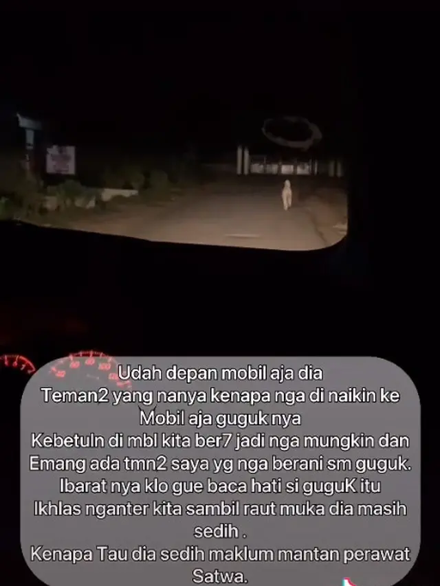 Kisah Anjing Setia yang Antar Peziarah ke Makam Pemiliknya, Bikin Haru
