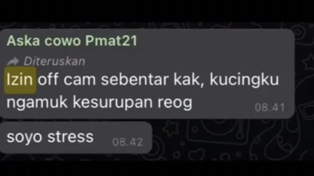 6 Alasan Siswa Izin Matikan Kamera saat Sekolah Online Ini Bikin Ketawa