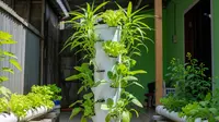 5 Model Tower Garden Murah untuk Rumah Kecil, Solusi Berkebun Hemat Lahan di Rumah