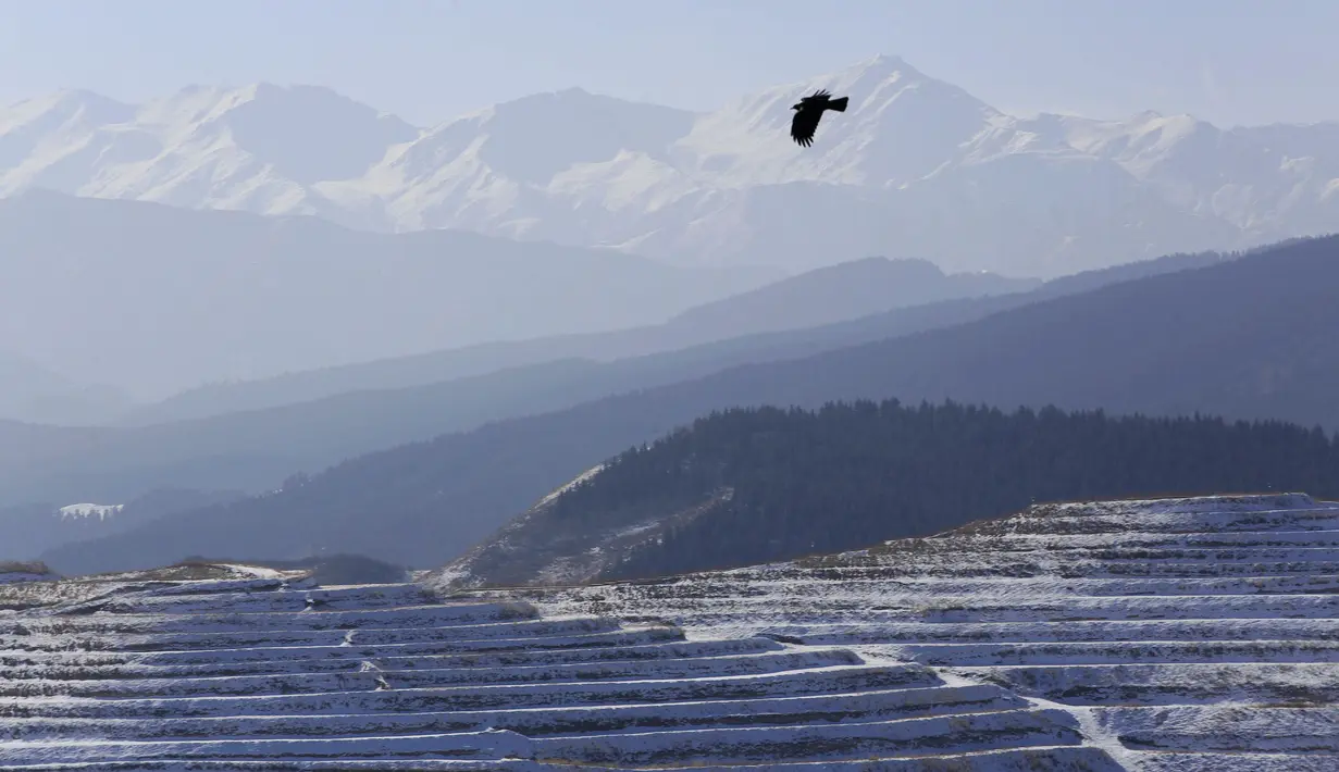 Foto dari udara yang diabadikan pada 7 Desember 2020 ini menunjukkan pemandangan sawah terasering yang tertutup salju di Kota Wuwei, Wilayah Otonom Etnis Tibet Tianzhu, Provinsi Gansu, China barat laut. (Xinhua/Jiang Aiping)