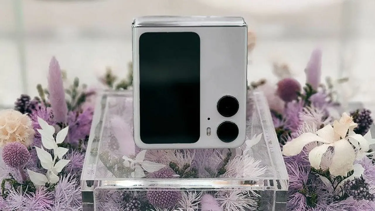 Oppo