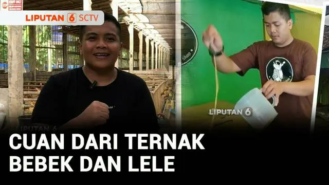Di Kulon Progo, Yogyakarta, ada anggota polisi yang memiliki usaha sampingan berupa ternak bebek petelur dan lele dengan nilai omzet jutaan rupiah dalam sehari. Bagi Brigadir Agus Nurmansyah, usahanya tak sekedar membawa cuan, tapi juga sebagai bentu...