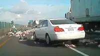 Sebuah truk pengangkut ayam yang hilang kendali menyeruduk truk yang lebih besar di depannya dengan kecepatan tinggi.