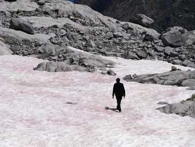 Gambar pada 4 Juli 2020 di gletser Presena dekat Pellizzano, Italia menunjukkan seorang pria berjalan di atas salju berwarna pink atau merah muda. Perubahan warna ini diketahui karena adanya tumbuhan alga di kawasan itu yang membuat warna salju menjadi lebih gelap. (Photo by Miguel MEDINA / AFP)