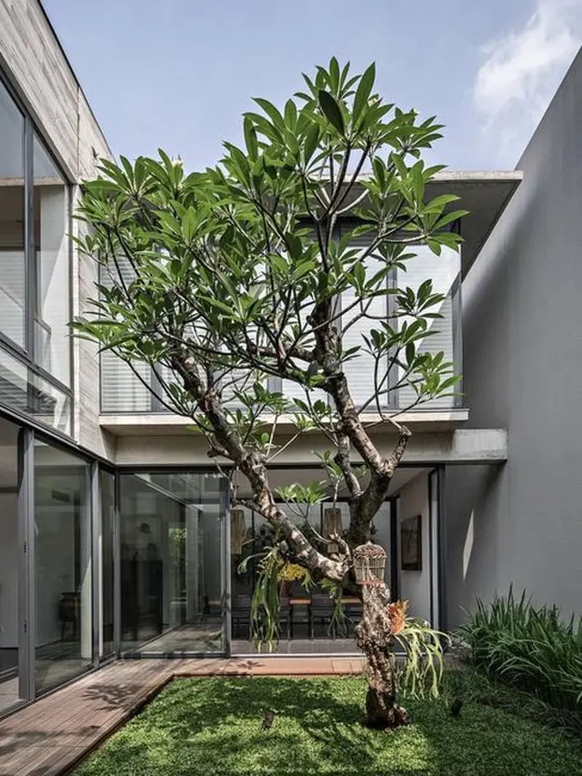 Taman Rindang di Dalam Rumah