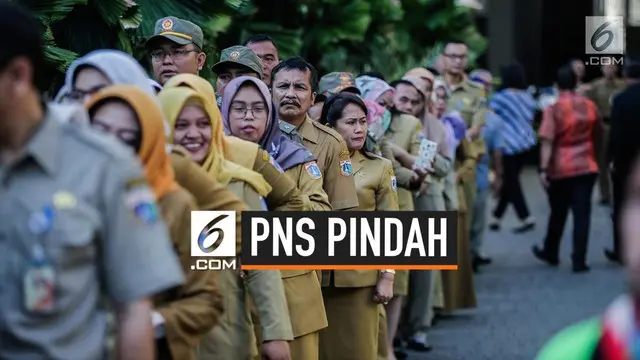 Dalam peraturannya, PNS harus siap ditempatkan di mana saja. Salah satunya dengan ikut pindah ke ibu kota baru di Kalimantan Timur. Jika PNS menolak, ini yang terjadi.