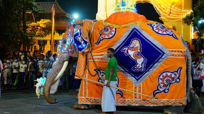 Seekor gajah terlihat dalam prosesi tahunan umat Buddha di Kotte Rajamaha Viharaya, Kolombo, Sri Lanka, 29 Agustus 2020. Prosesi tersebut dimeriahkan dengan beragam tarian daerah tradisional dan tarian budaya, serta gajah-gajah yang didandani dengan berbagai kostum mewah. (Xinhua/Tang Lu)