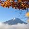 Nilai budaya dan inspirasi artistiknya yang mendalam menjadikan gunung ini tercatat sebagai Situs Warisan Budaya Dunia UNESCO pada tahun 2013. Tampak dalam foto, Gunung Fuji, gunung tertinggi di Jepang dengan ketinggian 3.776 meter (12.460 kaki), terlihat di balik daun-daun musim gugur dari kota Fujikawaguchiko, Prefektur Yamanashi, pada Senin 17 November 2025 pagi hari. (Caroline GARDIN/AFP)