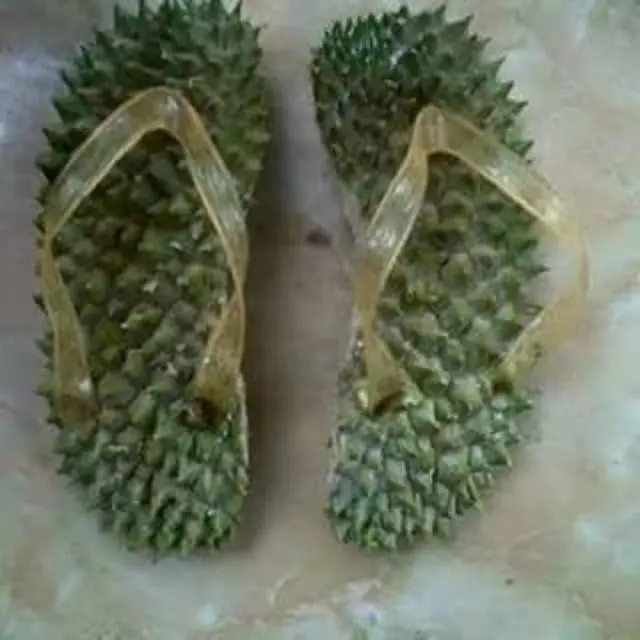 6 Potret Pemanfaatan Kulit Durian Ini Kelewat Unik, Ada-Ada Saja
