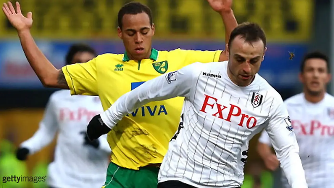 fulham-norwich-130210a.jpg