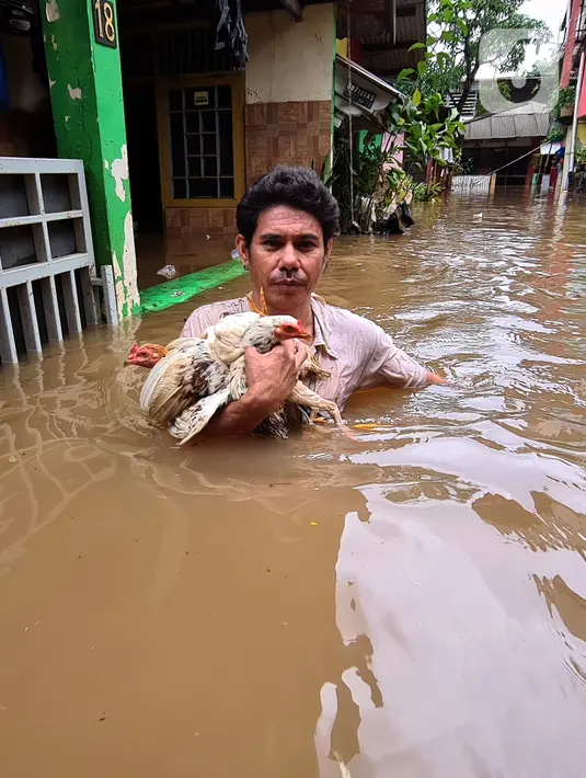 Warga menyelamatkan ayam peliharaannya saat banjir melanda kawasan pemukiman Jalan Bango, Pondok Labu, Jakarta Selatan, Sabtu (20/2/2021). Banjir akibat luapan Kali Krukut yang melanda sejak semalam menyebabkan pemukiman tergenang hingga dua meter. (merdeka.com/Arie Basuki)