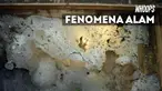 Fenomena ini masih menjadi teka-teki, beberapa teori hadir untuk mengungkap hal tersebut.