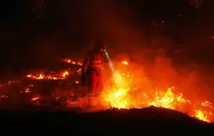 Spanyol Berpacu Padamkan Kebakaran Hutan Sebelum Cuaca Memburuk
