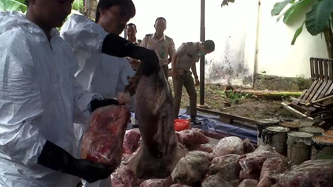 Pemusnahan Daging Babi di Cilegon