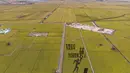 Foto dari udara yang diabadikan pada 21 September 2020 ini menunjukkan sawah yang akan dipanen di sebuah area persawahan di Kota Fujin, Provinsi Heilongjiang, China timur laut. Dalam beberapa hari terakhir, sekitar 2.667 hektare sawah di kota tersebut telah memasuki musim panen. (Xinhua/Zhang Tao)