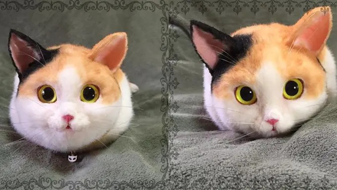 Foto: copyright Cosmopolitan.co.uk/Twitter/picopoco08