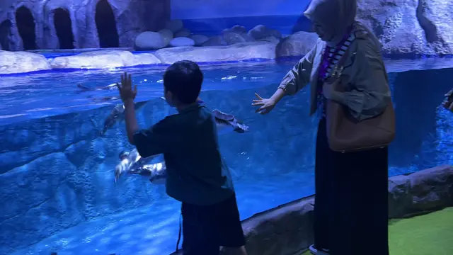 Menyapa Penguin Humboldt di BXSea, Opsi Habiskan Libur Akhir Pekan