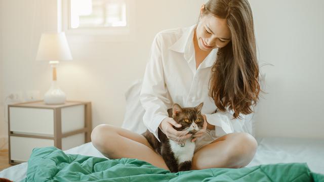 Ilustrasi merawat kucing/Shutterstock.