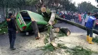 Pohon tumbang menimpa mobil angkot di Bogor. (Liputan6.com/Achmad Sudarno)