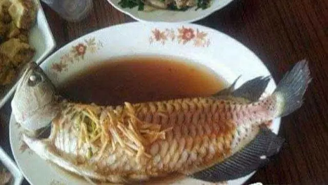 6 Momen Absurd Masak Arwana, Pencinta Ikan Hias Menangis Darah