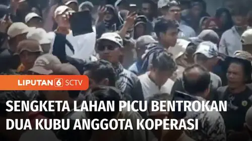 VIDEO: Bentrokan Dua Kubu Anggota Koperasi di Pasaman Barat, Ribut Gegara Rebutan Lahan Plasma